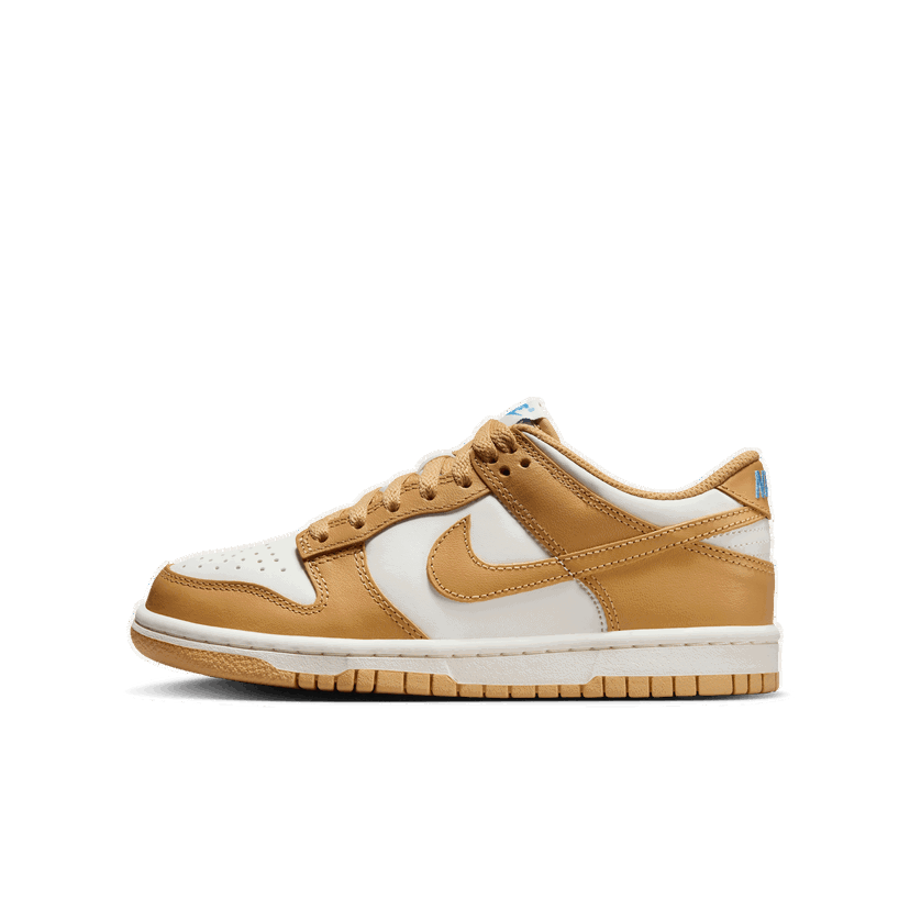Sneakers och skor Nike Dunk Low Brun | FB9109-700