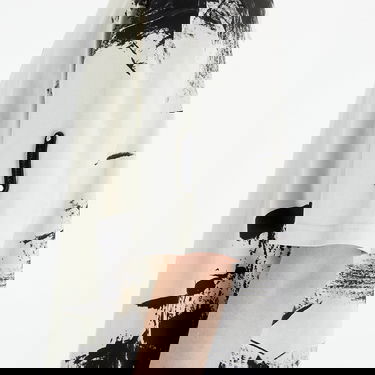 T-shirt A-COLD-WALL* Brushstroke T-Shirt Beige | ACWMTS188 Bone, 1