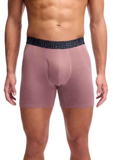 Boxare Under Armour Under Armour SOLID 6in 3 Pack Boxer Shorts Flerfärgad | 1383889-651, 3