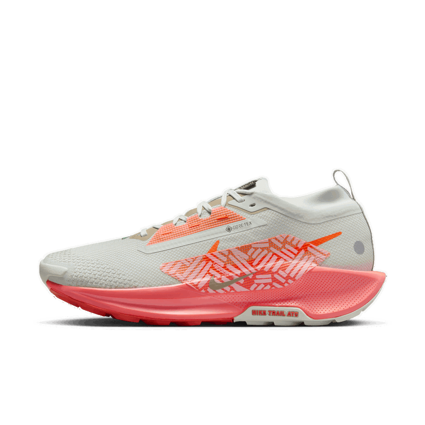 Löpning Nike Pegasus Trail 5 GORE-TEX Grå | FQ0908-004