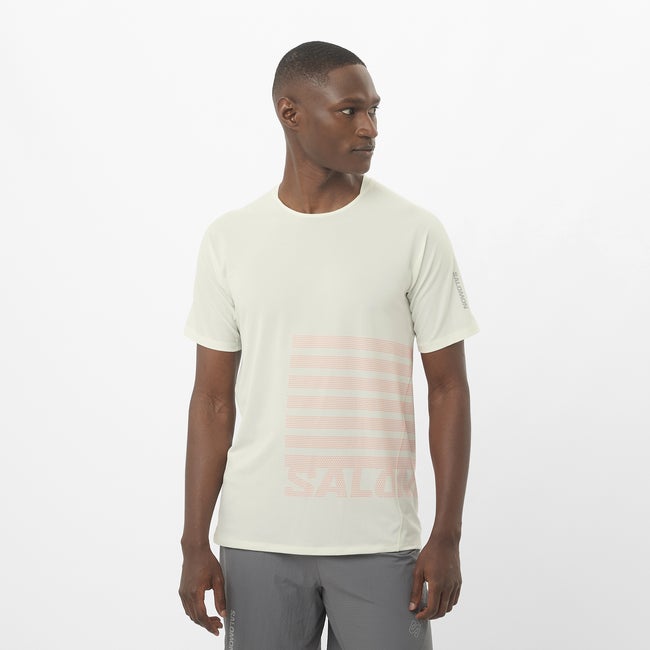 T-shirt Salomon Sense Aero Graphic T-Shirt Vit | LC2694600