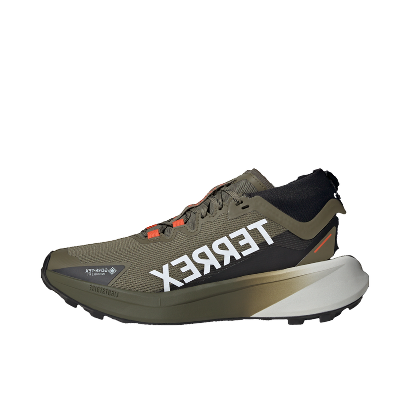 Sneakers och skor adidas Performance Terrex Agravic GTX Grön | jp7252