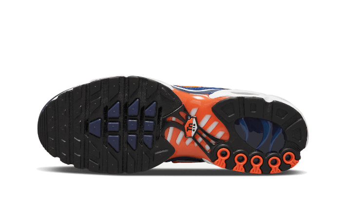 Sneakers och skor Nike Air Max Plus SE ''Running Club - Deep Royal Blue'' Blå | DC9332-001, 1