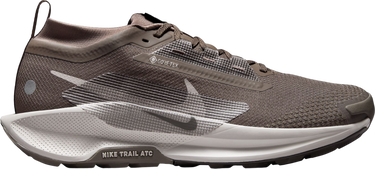 Sneakers och skor Nike Pegasus Trail 5 GORE-TEX Brun | fq0908-012, 0