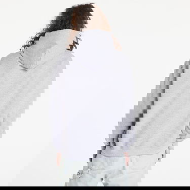 Sweatshirt Thrasher Flame Hoodie Grå | 113102GRY, 4