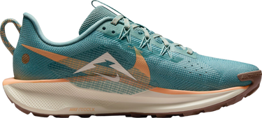 Sneakers och skor Nike Pegasus Trail 5 Turkos | dv3865-010, 3