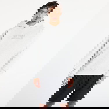 Sweatshirt New Balance Pullover Hooded Sweatshirt Grå | NBMT53925AHH, 4