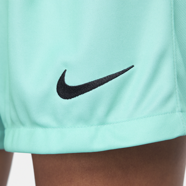 Shorts Nike Dri-FIT FC Barcelona 2023/24 Stadium Third Shorts Turkos | FJ4672-486, 2