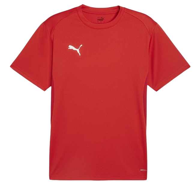 T-shirt Puma teamGOAL T-Shirt Röd | 658636-01