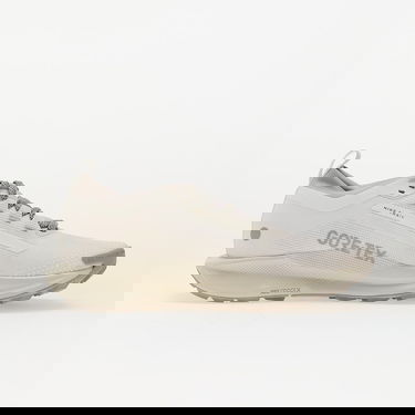 Sneakers och skor Nike Pegasus Trail 5 Gore-Tex Beige | HQ7494-100, 2