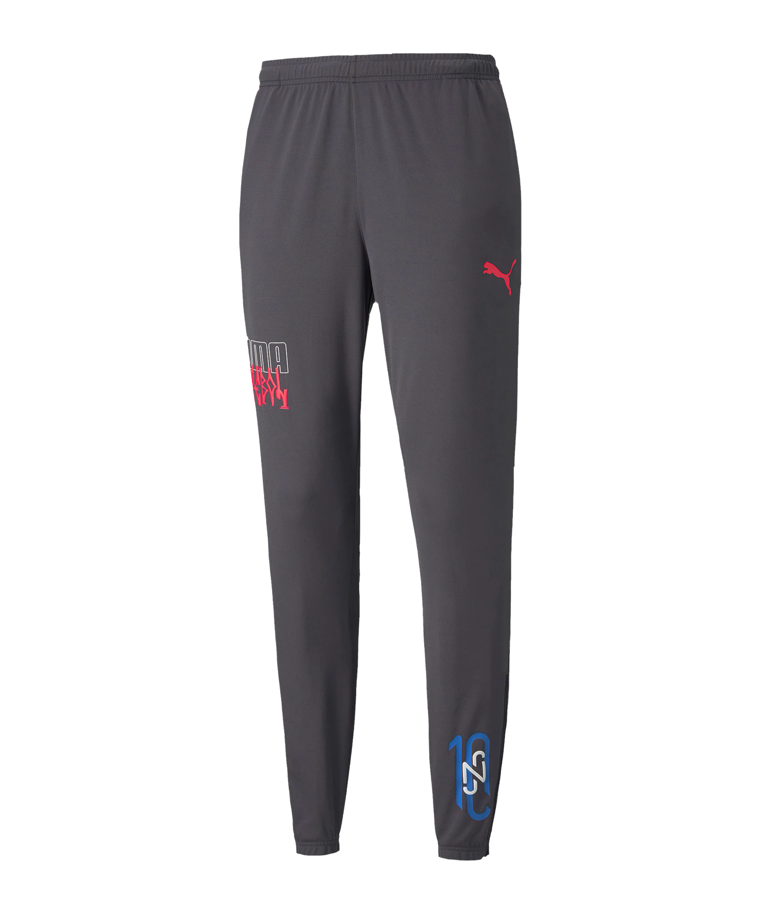 Träningsbyxor Puma NJR Pants Grå | 605600-007, 0