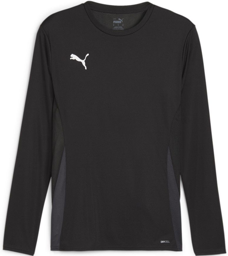 Jersey Puma teamGOAL Jersey LS M Svart | 705750-03