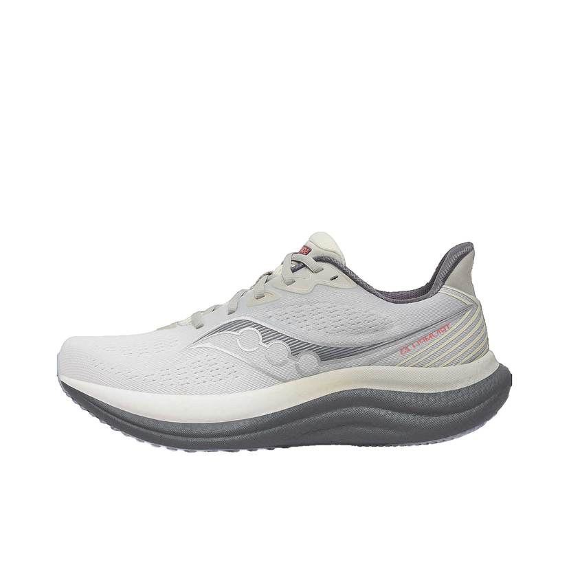 Sneakers och skor Saucony Triumph 23 Grå | s21023-505