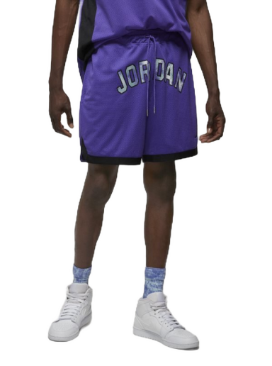 Shorts Jordan Sport DNA Mesh Shorts Purpur | DM1414-579