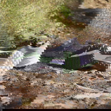 Sneakers och skor adidas Performance adidas Terrex TERREX SOULSTRIDE R.RDY W Grå | id7754, 6