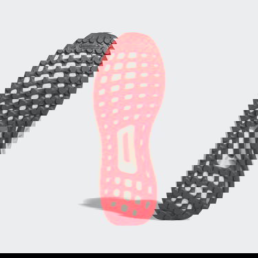 Sneakers och skor adidas Performance Ultraboost 2 DNA Grå | GY5373, 3