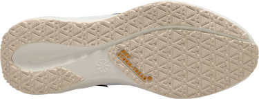 Sneakers och skor Nike Pegasus 41 GORE-TEX Beige | fq1356-102, 3