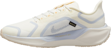 Sneakers och skor Nike Pegasus 41 GORE-TEX Beige | fq1356-102, 1