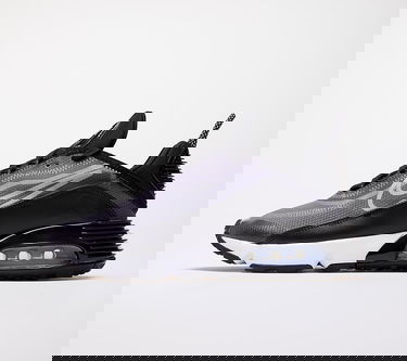 Sneakers och skor Nike W Air Max 2090 Svart | CK2612-002, 0