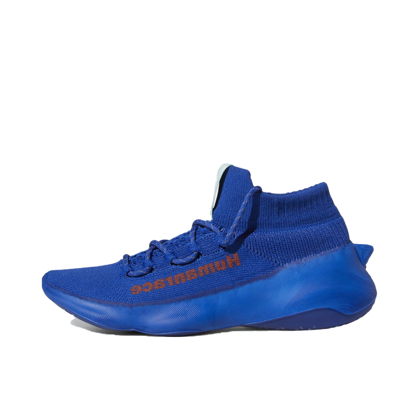 Sneakers och skor adidas Performance HumanRace Sichona Blå | GW4880