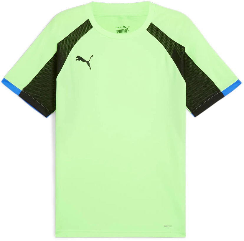 Jersey Puma Jersey T-shirt Grön | 659526-02