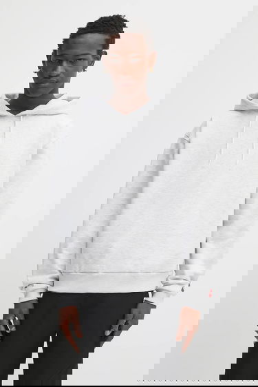 Sweatshirt The North Face Redbox Celebration Hoodie Grå | NF0A8EFZE041, 0