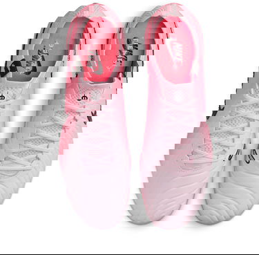 Sneakers och skor Nike LEGEND 10 ELITE FG Rosa | dv4328-601, 3