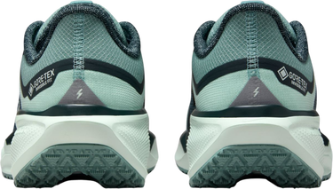 Sneakers och skor Nike Pegasus 41 GORE-TEX Turkos | fq1357-003, 1