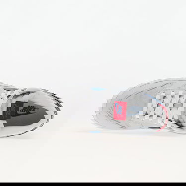 Sneakers och skor Nike Dunk Low Grå | HF0391-001, 3