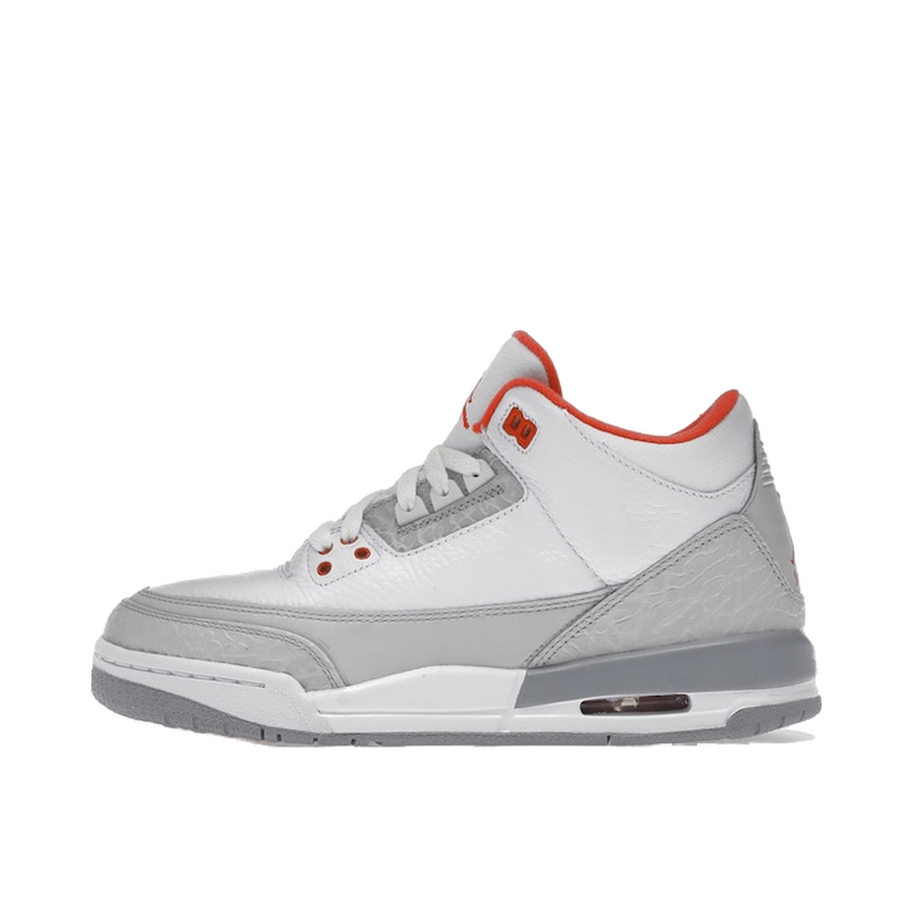 Sneakers och skor Jordan Jordan 3 Retro Grå | 441140-101