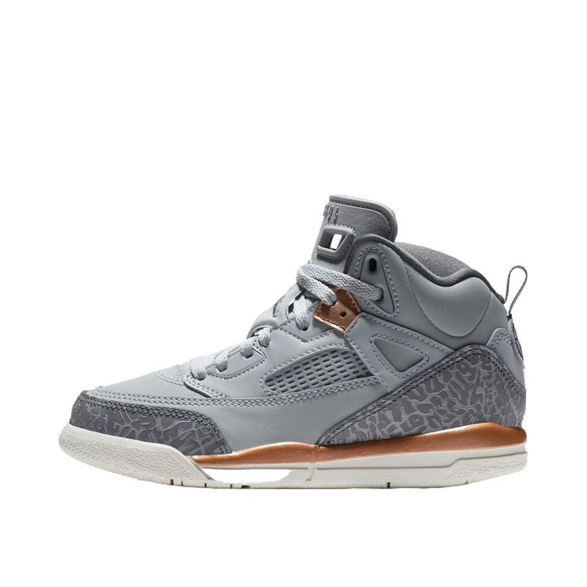 Sneakers och skor Jordan Jordan Spizike Grå | 535708-018