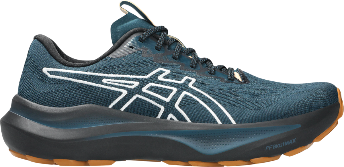 Sneakers och skor Asics GT-2000 14 TR Blå | 1011c129-300, 0