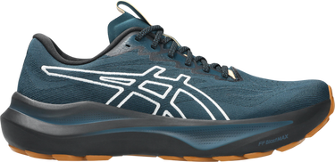 Sneakers och skor Asics GT-2000 14 TR Blå | 1011c129-300, 0