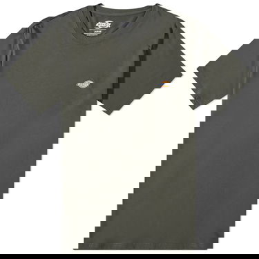 T-shirt Dickies Mapleton Tee Grön | DK0A4XDBOGX1, 0
