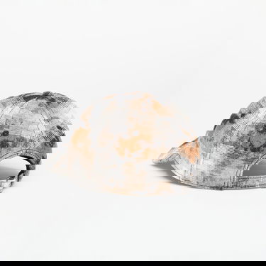 Keps Palm Angels Palm Angels Curved Logo Check Cap Flerfärgad | PMLB104S25FAB0020910, 1