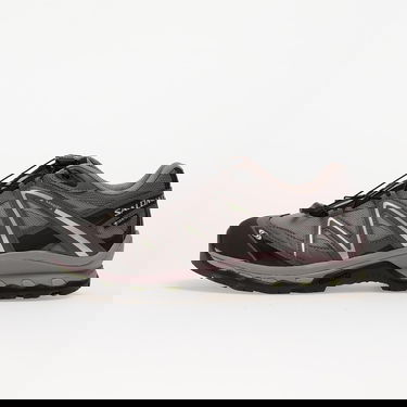 Sneakers och skor Salomon XT-Quest Gore-Tex Grå | L49127700, 0