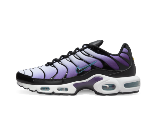 Sneakers och skor Nike Air Max Plus "Reverse Grape" Purpur | FQ2415-500