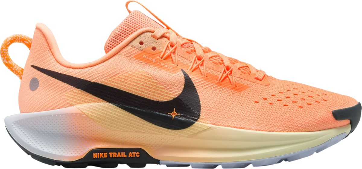 Sneakers och skor Nike Pegasus Trail 5 Orange | dv3865-800, 0