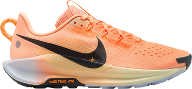 Sneakers och skor Nike Pegasus Trail 5 Orange | dv3865-800, 0
