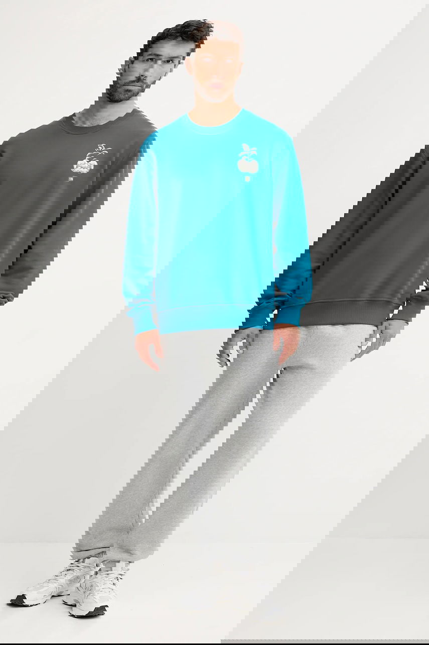 Sweatshirt The North Face Connect Relaxed Fit Crewneck Sweatshirt with Grow Your Own Way Graphic Print Turkos | NF0A8E3ZBSI1, 1