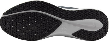 Sneakers och skor Nike Pegasus 41 GORE-TEX Svart | fq1356-002, 4