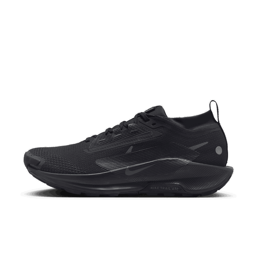 Löpning Nike Pegasus Trail 5 GORE-TEX Svart | FQ0908-002