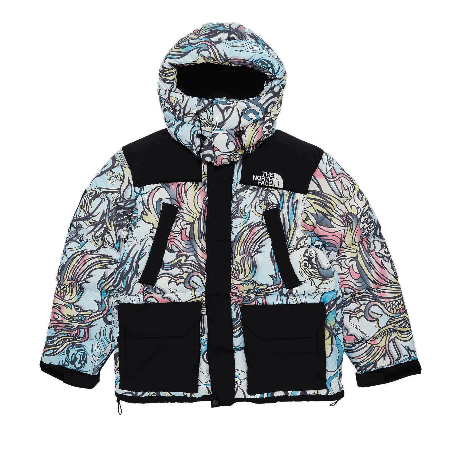 Parkas Supreme The North Face x 700-Fill Down Parka Flerfärgad | FW22J6 MULTICOLOR DRAGON, 0