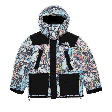 Parkas Supreme The North Face x 700-Fill Down Parka Flerfärgad | FW22J6 MULTICOLOR DRAGON, 0