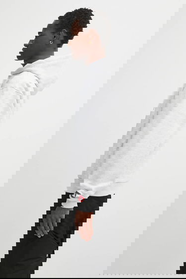 Sweatshirt The North Face Redbox Celebration Hoodie Grå | NF0A8EFZE041, 1