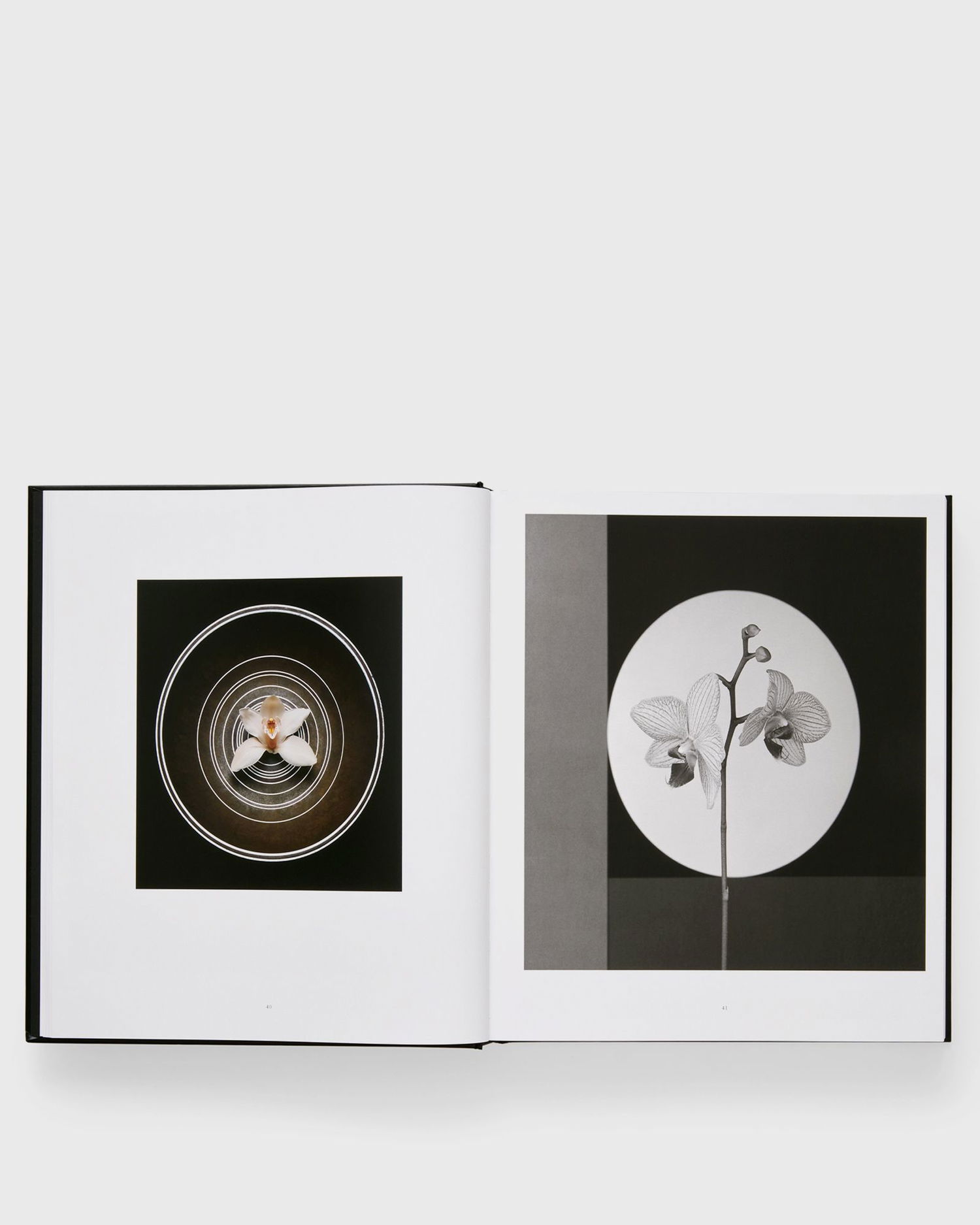 Kläder och accessoarer Phaidon Robert Mapplethorpe Svart | 9781838668211, 1
