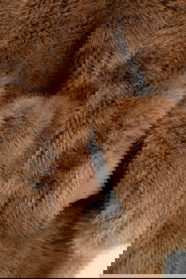 Rockar STAND STUDIO Halle Faux Fur Coat Brun | 62267.9416, 5