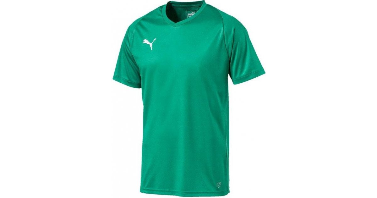 Jersey Puma Liga Core Jersey Grön | 703509-05, 1