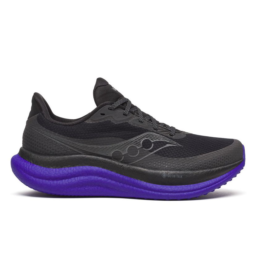 Sneakers och skor Saucony Triumph 23 GTX Svart | S21025-01