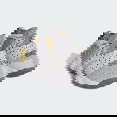 Sneakers och skor adidas Performance 8 Extply Shoes Grå | IG8086, 1